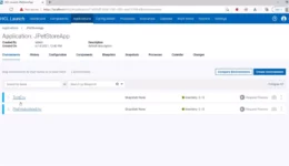 HCL Launch Available environments