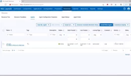 HCL Launch Connections to virtual machines or physical servers