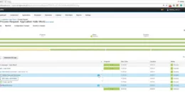 UrbanCode Deploy (IBM UCD / udeploy) - Deployment execution