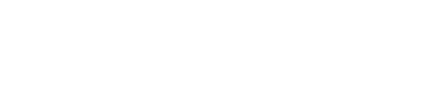 IBM Business Partner